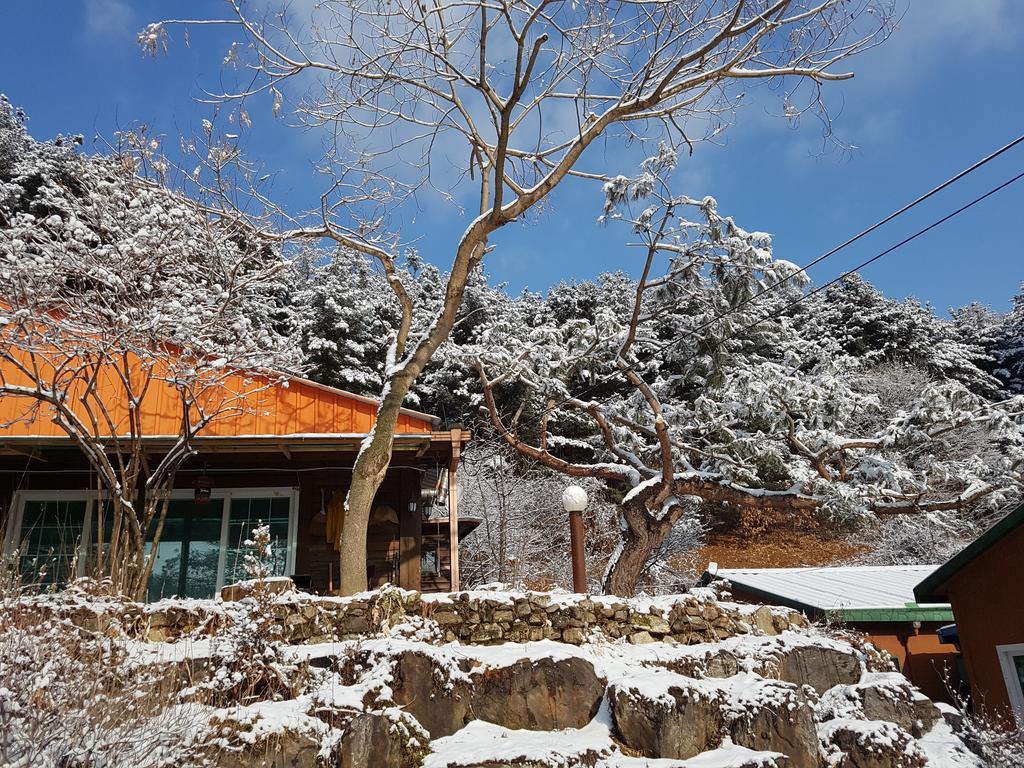 Bluesky Pension Pocheon-si Exterior foto