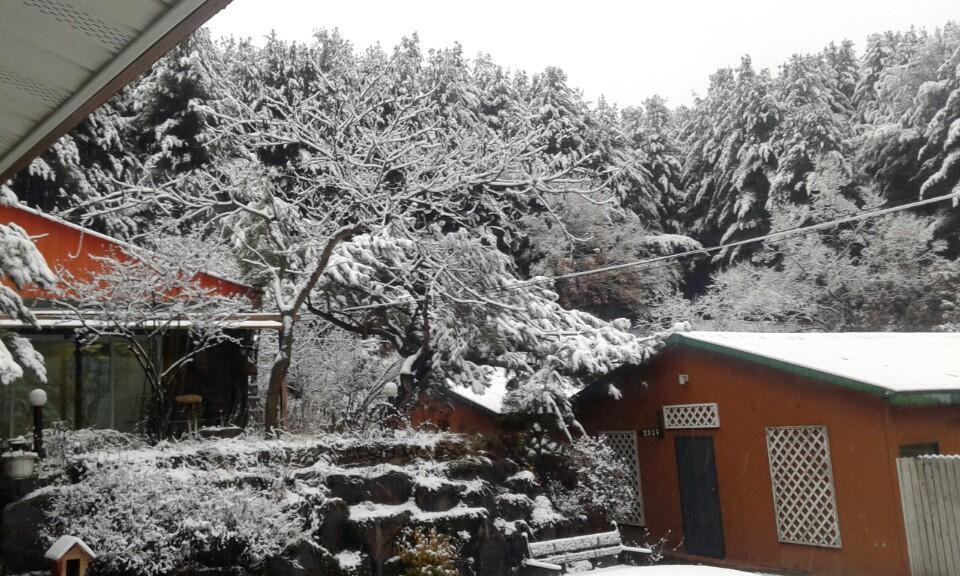 Bluesky Pension Pocheon-si Exterior foto